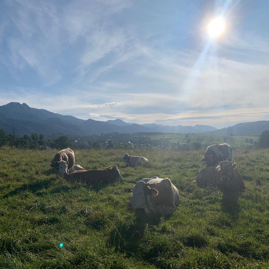 Pękalówka-Widokowe Zacisze 'ZMIERZCH' Zakopane Zewnętrze zdjęcie