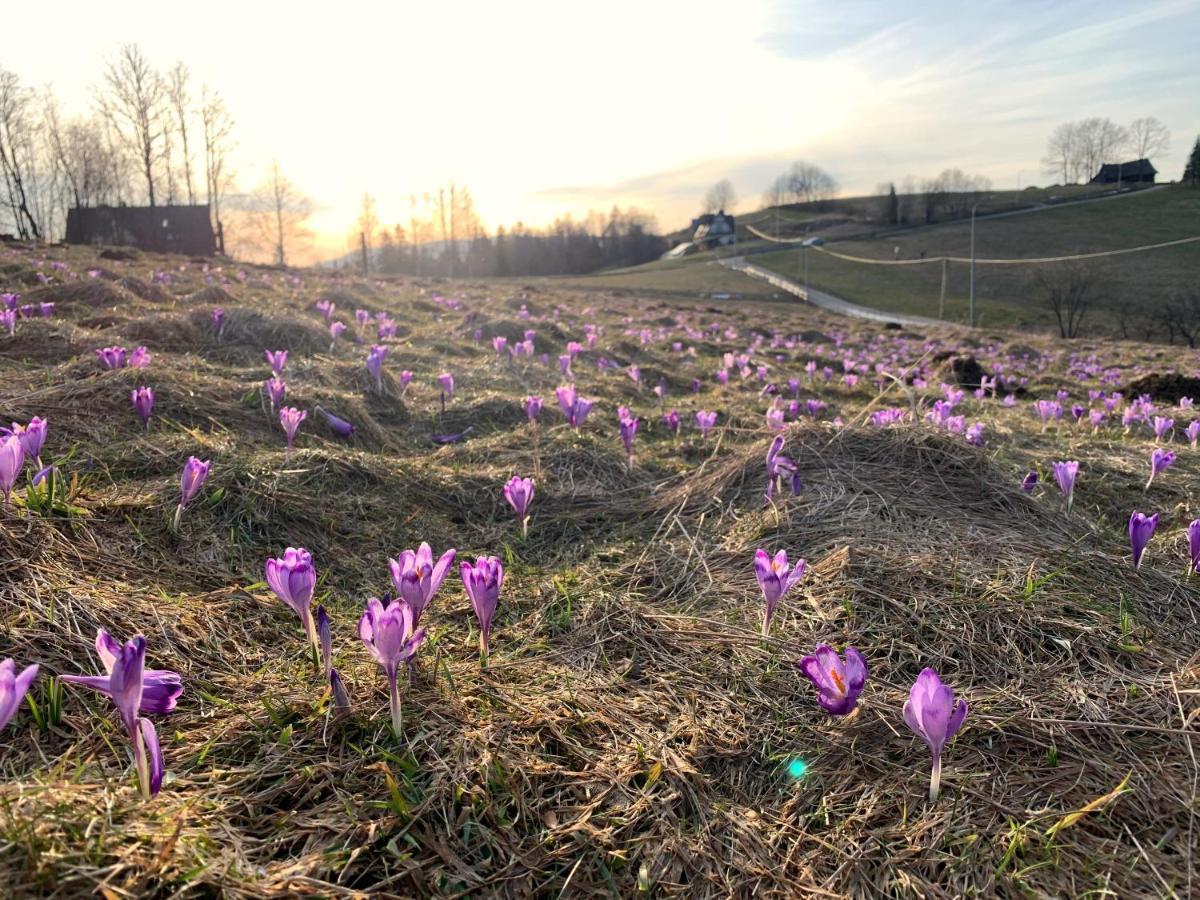 Pękalówka-Widokowe Zacisze 'ZMIERZCH' Zakopane Zewnętrze zdjęcie